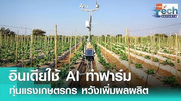 เกษตรกรอินเดียใช้ AI ช่วยทำฟาร์ม หวังเพิ่มผลผลิต | TNN Tech Reports