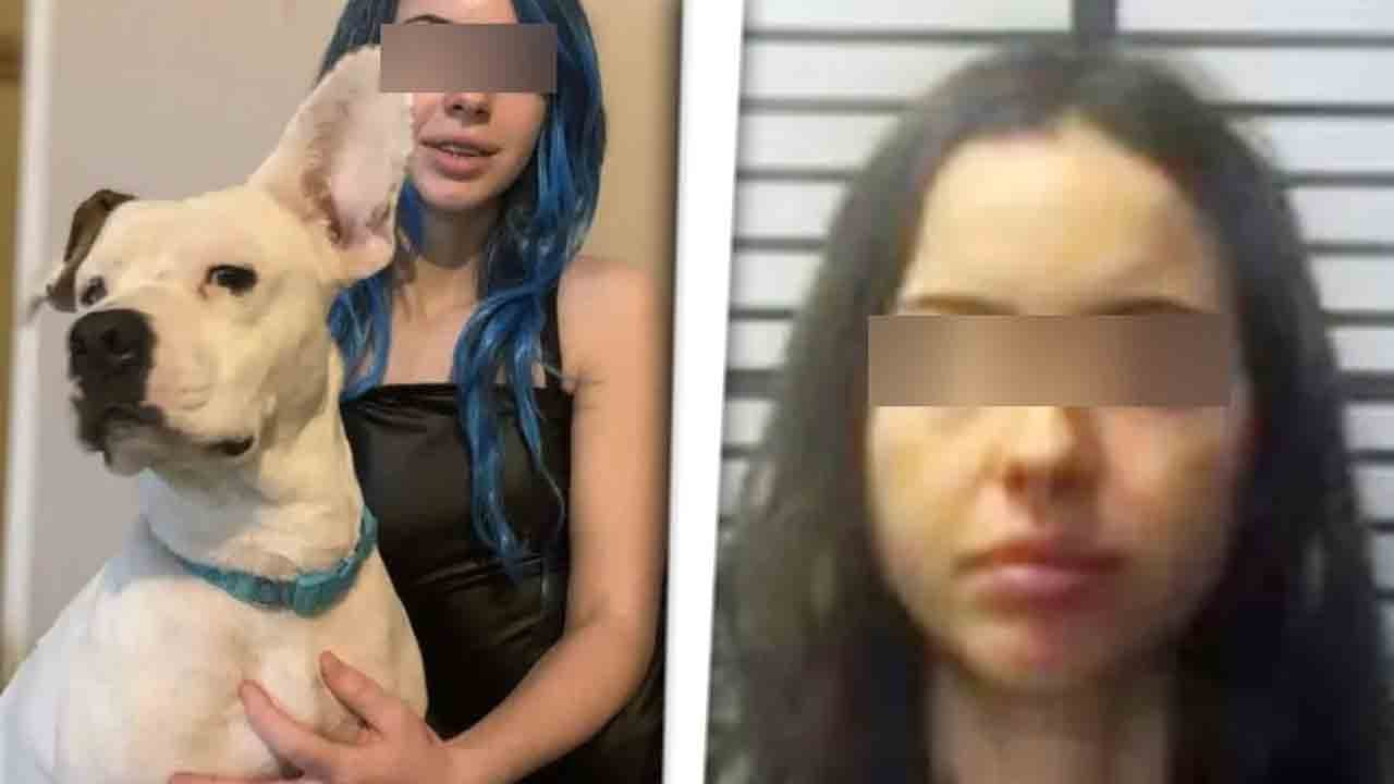 MUJER SUBE UN VÍDEO EN SNAPCHAT MANTENIENDO RELACIONES CON SU PERRO Y PUEDE ACABAR EN LA CÁRCEL