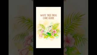 White tree frog care guide
