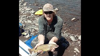 Saving Yellowstone Cutthroats
