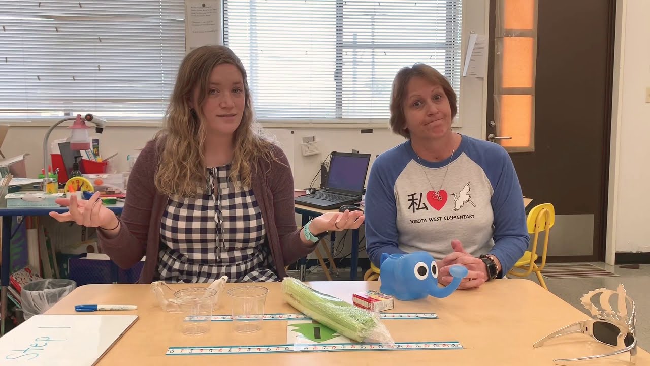 Celery experiment YouTube