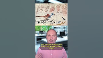 How evolution works, part 11. Reducible complexity.