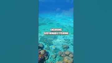 Sustainable Fisheries Management: Healthier Earth