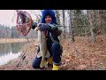 В ЭТО МЕСТО ТАК ПРОСТО НЕ ПОПАДЕШЬ! Рыбалка на реке. Щука на Спиннинг. Возле ОЗЕРА В ЛЕСУ. #413