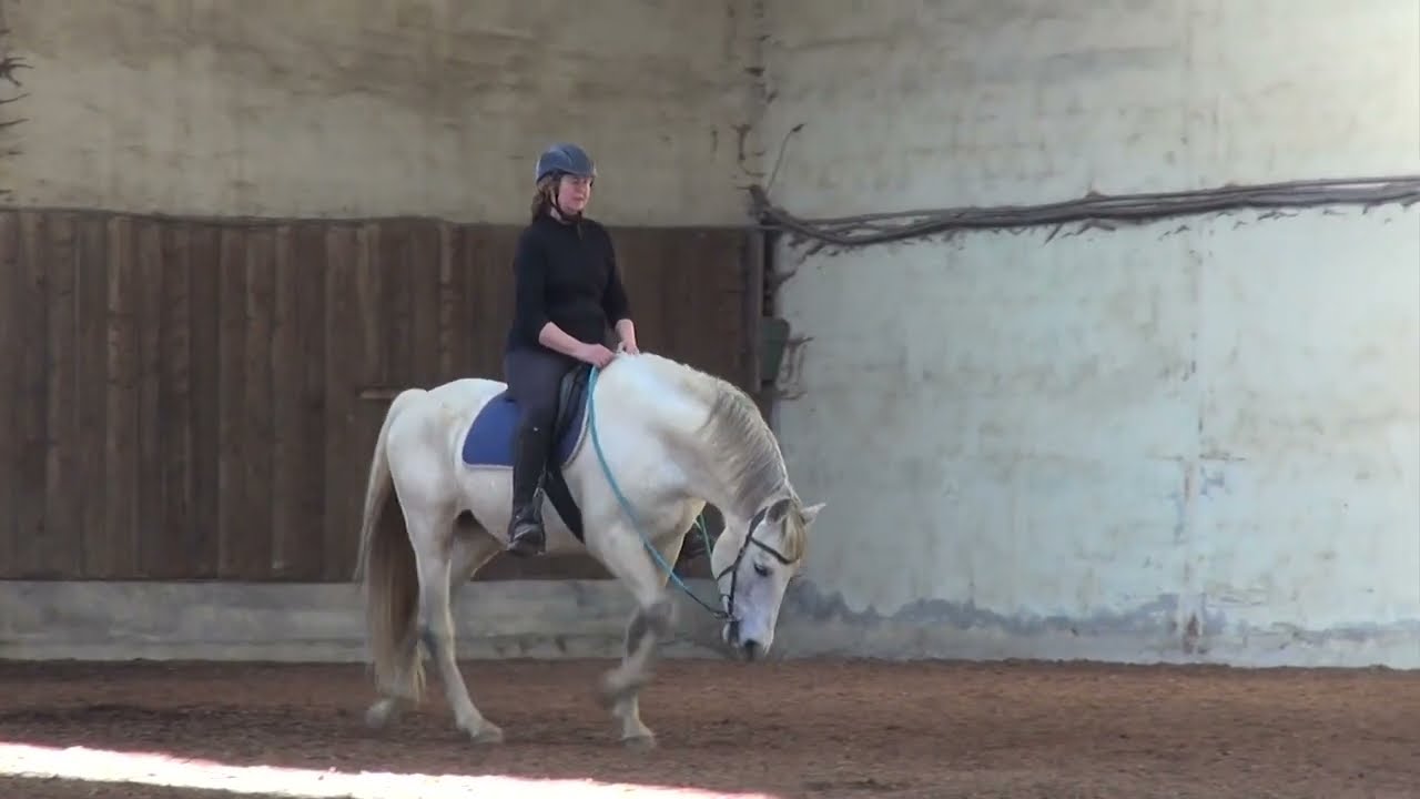 Clinic avec Elisabeth de Corbigny, mars 2022,