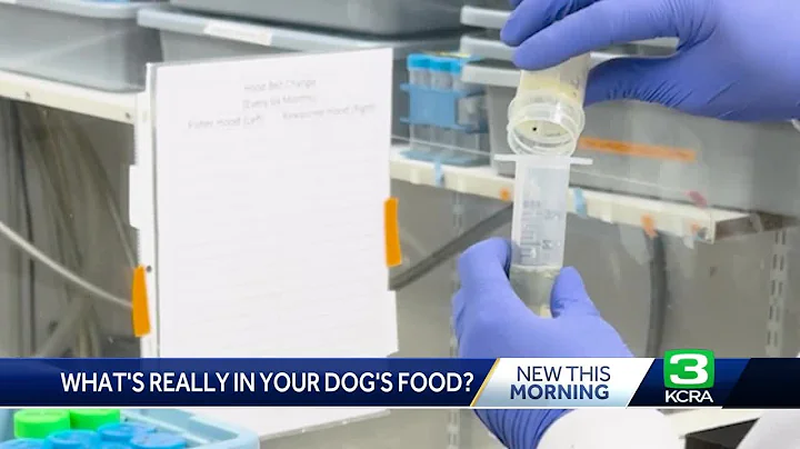 Consumer Reports: What's really in your dog's food?