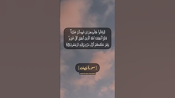سورة فصلت الآية ٢٠ الى ٢٢ بصوت الشيخ محمد صديق المنشاوي