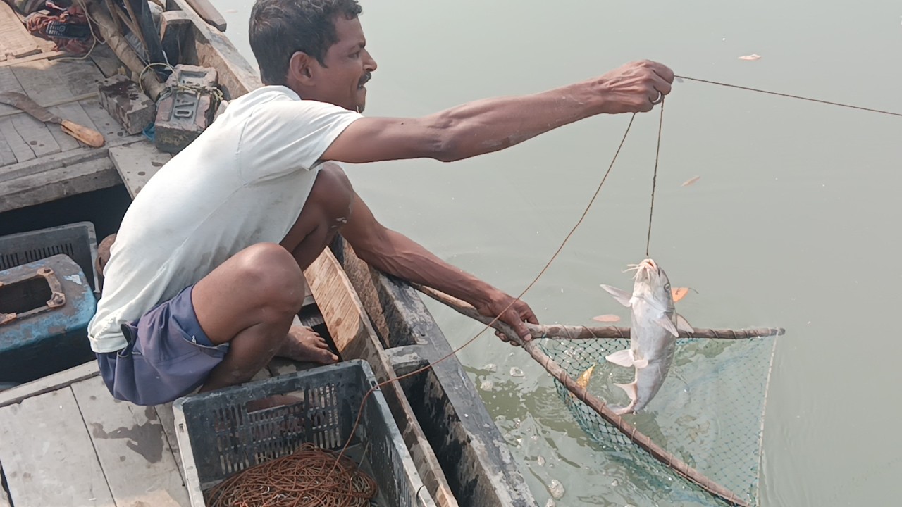 নদীতে বরশি দিয়ে মাছ ধরে প্রচুর আনন্দ পেলাম