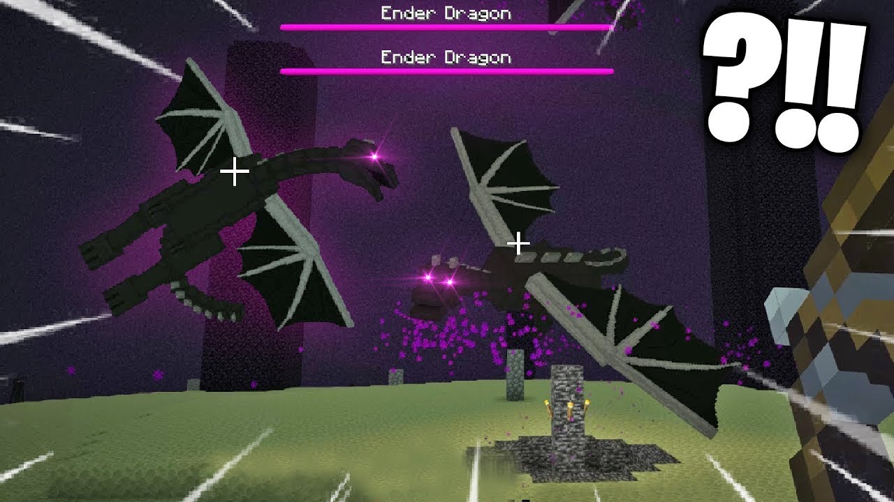 I killed 2 enderdragon in minecraft mob gives op items. minecraft