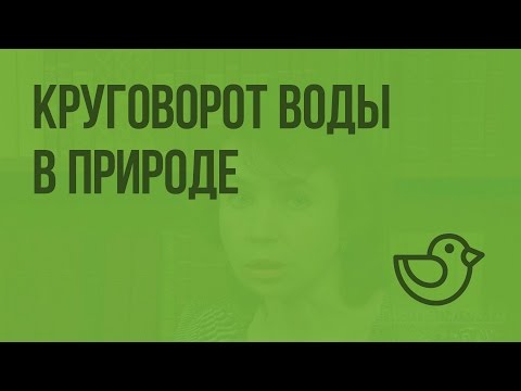 Круговорот воды в природе. Видеоурок по окружающему миру 3  класс