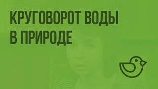 Круговорот воды в природе. Видеоурок по окружающему миру 3  класс