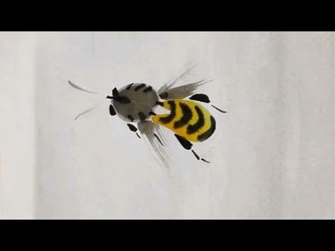 5.4.1不同形态蜜蜂画法4，蜜蜂，草虫，花鸟鱼虫，国画快速入门