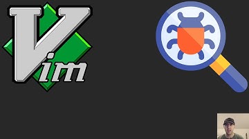 Troubleshooting Steps for When a Vim Plugin Is Not Working