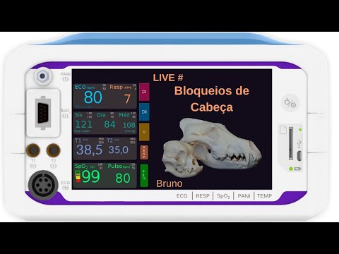 Vídeo: Bloqueio Cardíaco (Mobitz Tipo II) Em Gatos