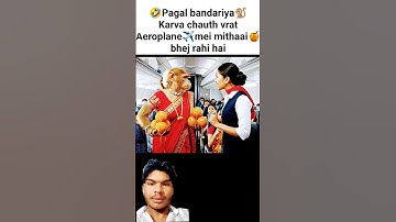 monkey video🤣🐒 karva chauth #shorts #monkeyvlog #funny #monkey