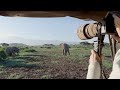 "Kilimanjaro Elephants" - Amazing Wildlife Safari in Amboseli National Park Kenya 2018 (4K)