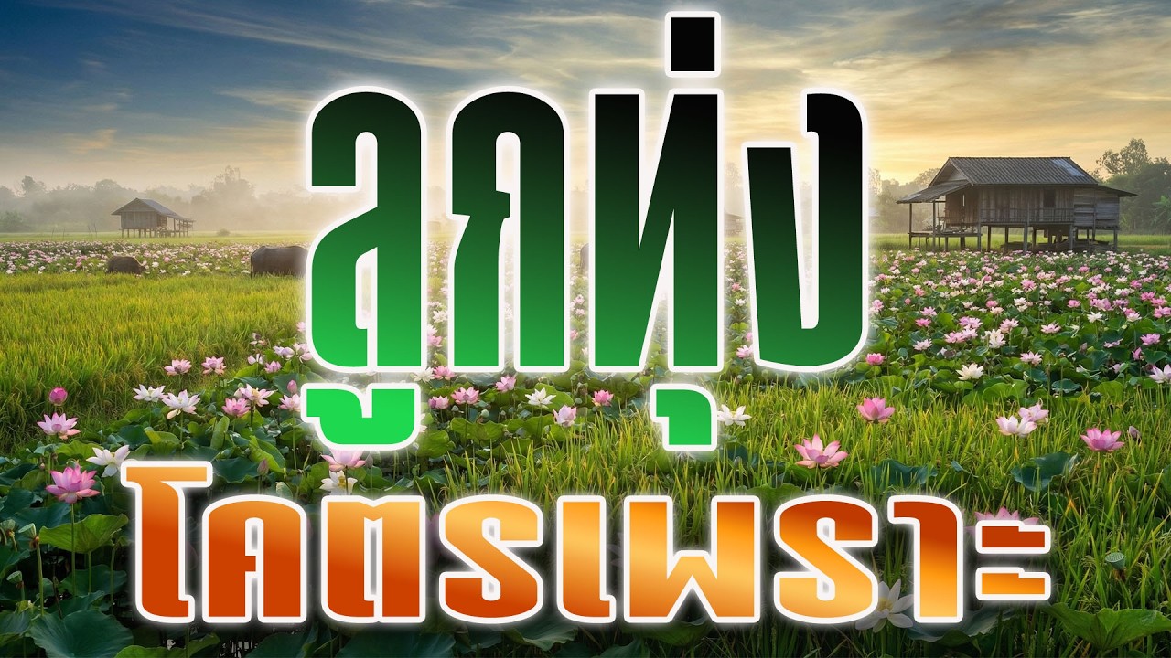 ลูกทุ่งโคตรเพราะ แนะนำให้ฟัง