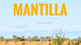 MANTILLA, CORRIENTES #mantilla #bajoelcielodemantilla