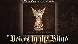 New Album From The Creator Of The Popular Enigma Covers! Cynosure 