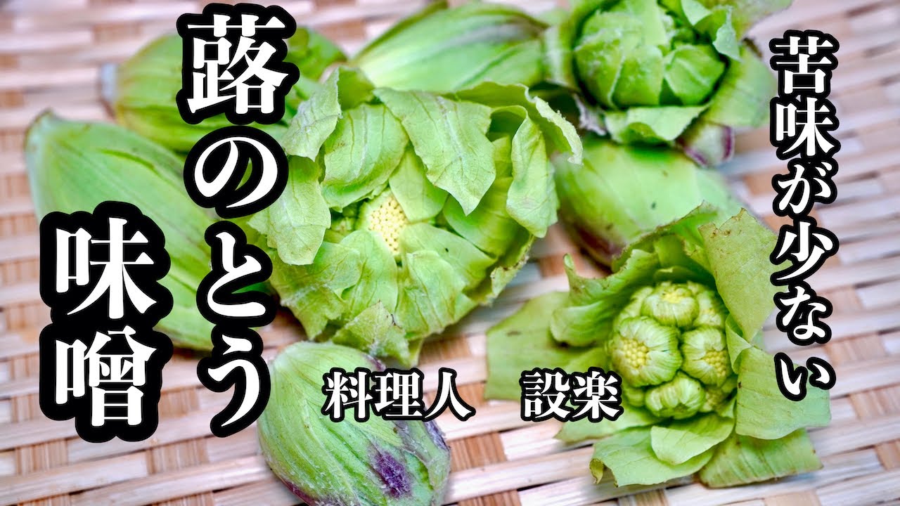 【プロ直伝】 和食の料理人が作る【ふきのとう味噌】の作り方　私が大好きな食べ方も教えます　多めに取れた時の長期保存食にも