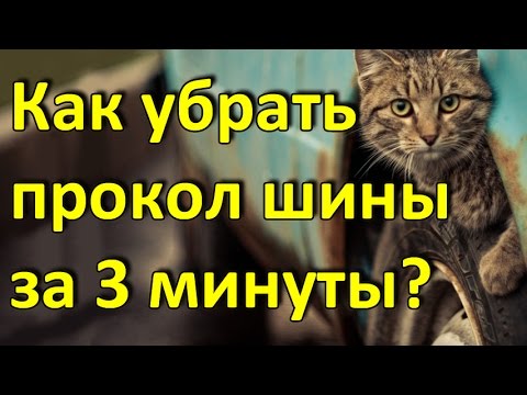 Парно в авто