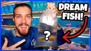I Finally Bought My DREAM FISH! by Carson’s Aquatics 17,148 views 1 year ago 9 minutes, 32 seconds