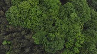 Tandle Hill Country Park Royton Oldham drone footage