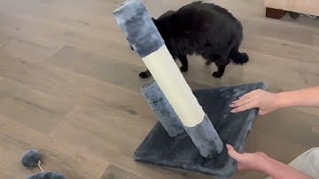 Yaheetech 23 5in Cat Tree Tower, Cat Condo with Sisal Covered Scratching Posts Review