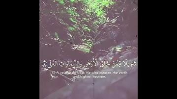 آيات بينات من الذكر الحكيم تملأ القلب خشوعا وتفكرا حالات صلاح بو خاطر واتس اب دينية قصيرة مؤثرة قرآن