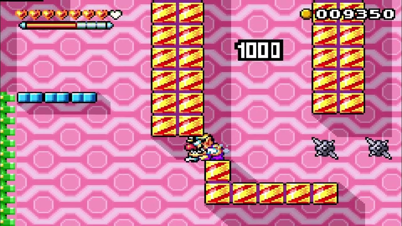 Wario Land 4 Randomizer 40 Below Fridge [Normal] score run (14050