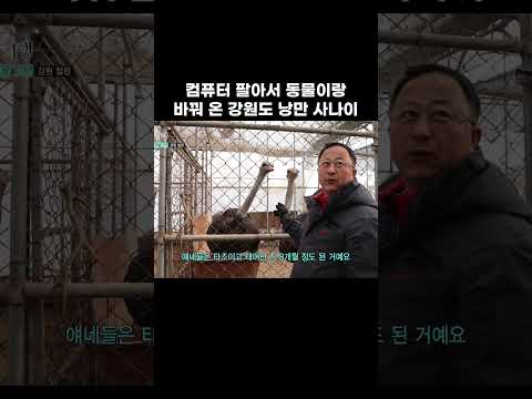 가정집에 대체 동물이 몇 종류야 #shorts