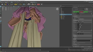 Carbon Tutorial - Maya - Carbon Simulation