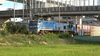 10/5(火) 3095レ EF510-504 山室踏切踏切にて…