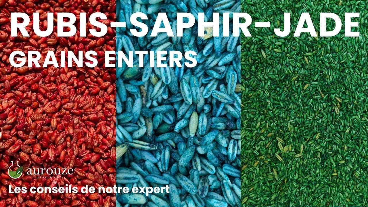 Ces appâts sont particulièrement appétents pour les souris et les rats