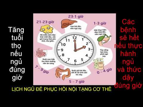 Video: Lý Do Tăng Giờ Ban Ngày Là Gì