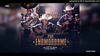 Por Enamorarme - Los Plebes Del Rancho (Estudio + Link De Descarga)