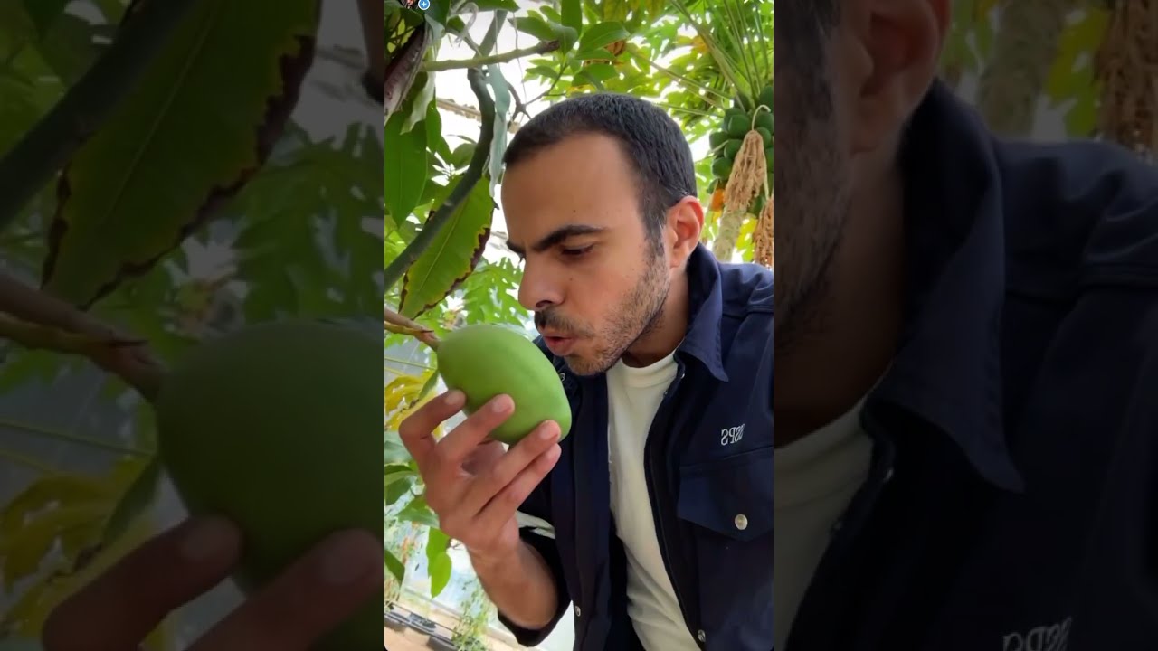 الحديقة و السطح 👀😊🥰