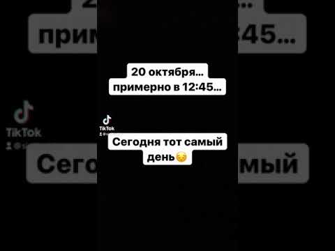 День воспоминаний Симбочки Старшего…🥺😔