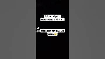 День воспоминаний Симбочки Старшего…🥺😔