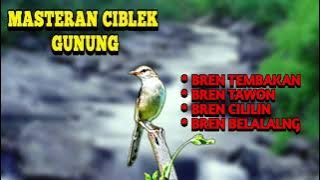 MASTERAN VARIASI TEMBAKAN BREN CIGUN || BREN CIGUN DENGAN JEDA SUARA JERNIH