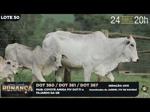 LOTE 50   DOT 360,361,367