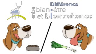 différence de bien-être et de bien-être