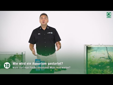 JBL TV #10: Wie wird ein Aquarium gestartet?