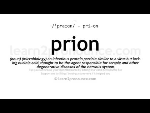 Pronunciation of Prion | Definition of Prion