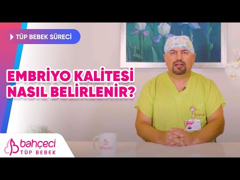 Video: 2pn ne anlama geliyor?