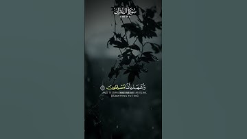 #قرآن #تلاوة #اسلاميات #راحة_نفسية#Quran #Islam #Peace #Spiritualit #القرآن #قران #القرآن_الكريم