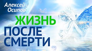 Как живёт душа ПОСЛЕ СМЕРТИ ? (ТК «Спас», 2017.04.27) - Осипов А.И.