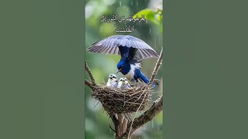 سورة البقرة | اكتب شيء تؤجر عليه #القرآن #القرآن_الكريم