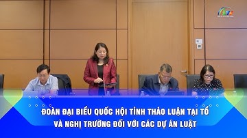 Đoàn Đại biểu Quốc hội tỉnh thảo luận tại tổ và nghị trường đối với các dự án luật