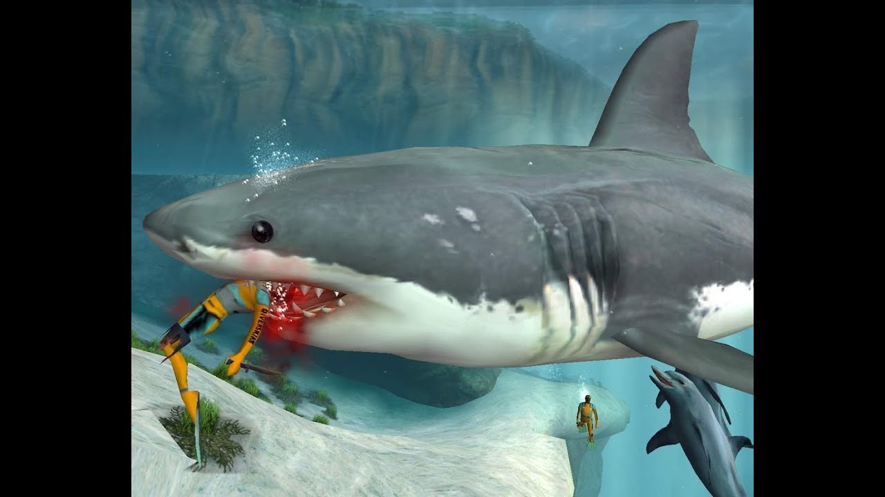 Les Dents De La Mer 2 Youtube La détente du soir, Jaws, les dents de la mer, Playstation 2 - YouTube